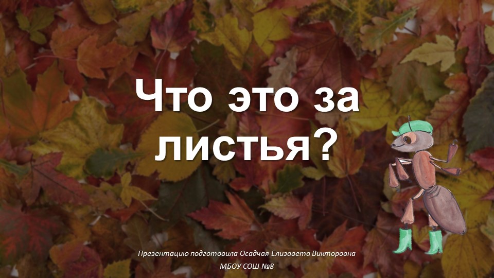 Презентация по окружающему миру на тему "Что это за листья" (1 класс) - Скачать школьные презентации PowerPoint бесплатно | Портал бесплатных презентаций school-present.com