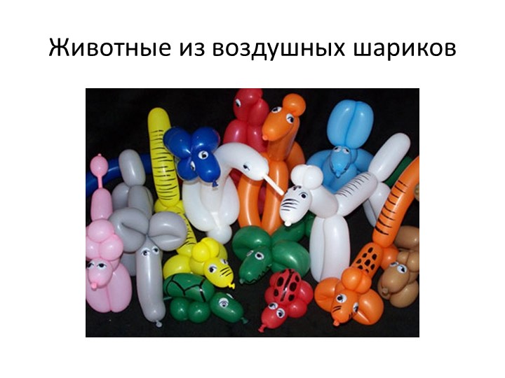 Презентация по внеурочной деятельности на тему:" Животные из воздушных шариков" - Скачать школьные презентации PowerPoint бесплатно | Портал бесплатных презентаций school-present.com