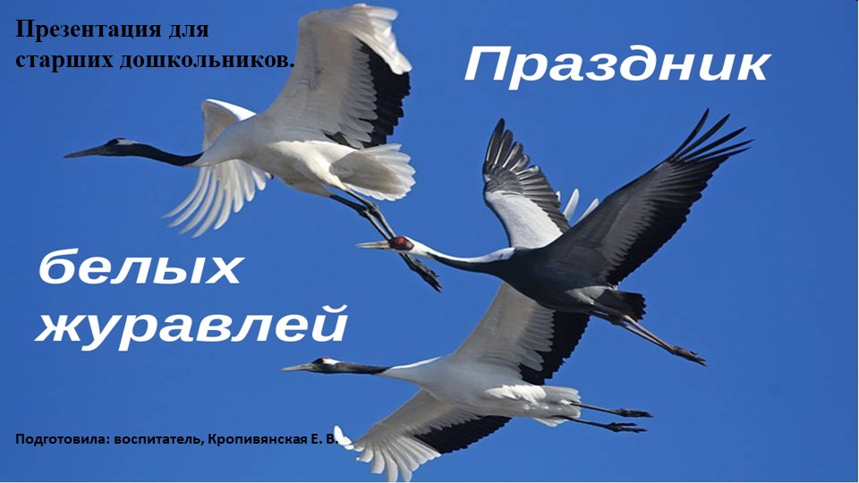 Презентация к мероприятию, посвященному Празднику белых журавлей 22 октября. Для старших дошкольников. - Скачать школьные презентации PowerPoint бесплатно | Портал бесплатных презентаций school-present.com
