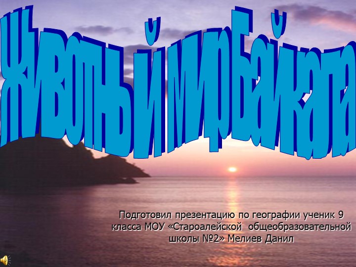 Презентация по географии Животный мир Байкала - Скачать школьные презентации PowerPoint бесплатно | Портал бесплатных презентаций school-present.com