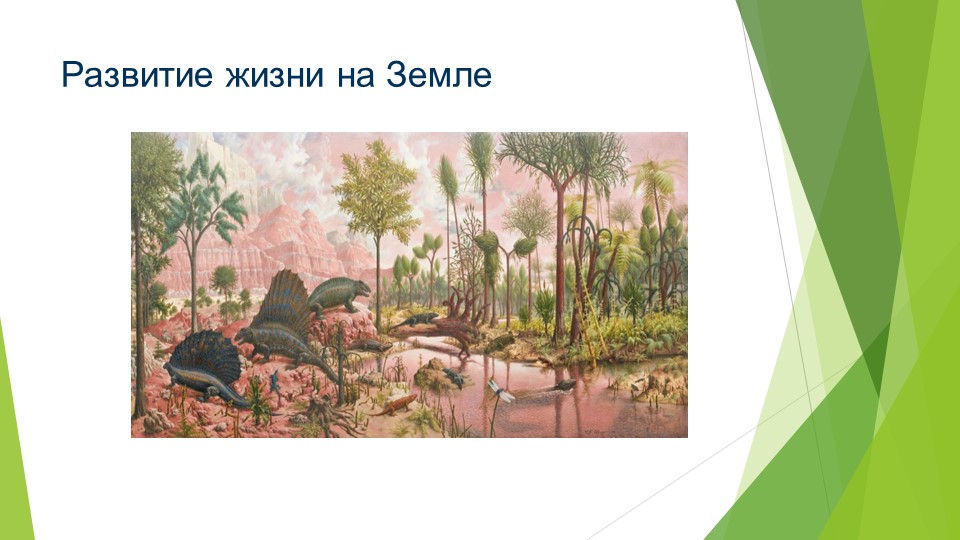 Презентация: "Эволюция жизни на Земле" - Скачать школьные презентации PowerPoint бесплатно | Портал бесплатных презентаций school-present.com
