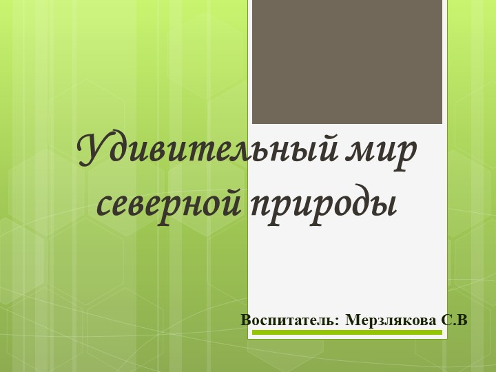 Презентация на тему "Удивительный мир Северной природы" старшая группа - Скачать школьные презентации PowerPoint бесплатно | Портал бесплатных презентаций school-present.com