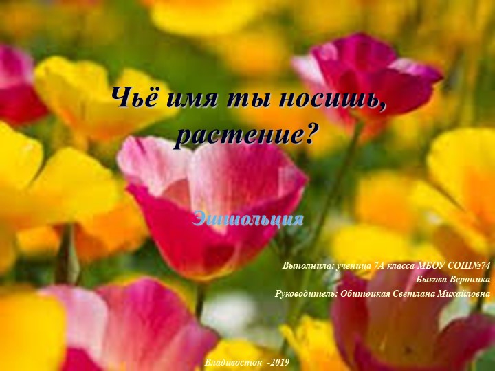 Презентация по биологии на тему "Природные сообщества" 6 - Скачать школьные презентации PowerPoint бесплатно | Портал бесплатных презентаций school-present.com