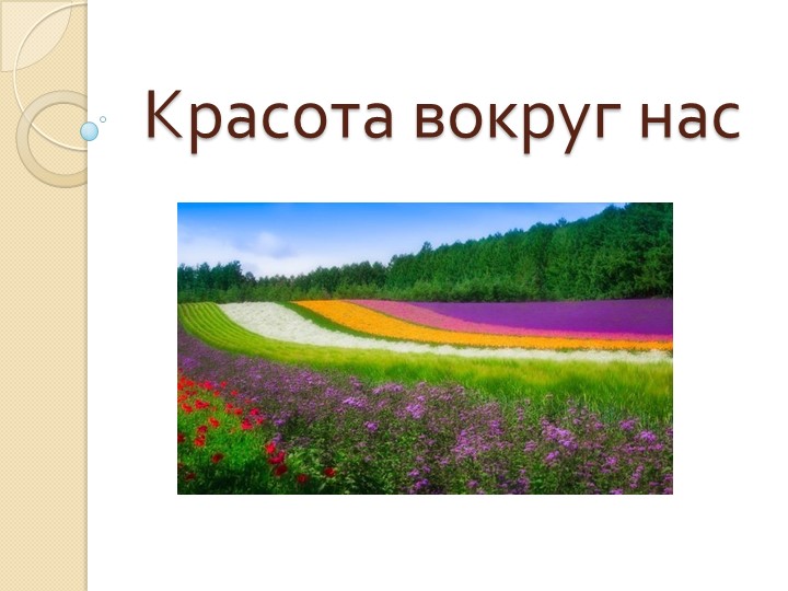Презентация к уроку "Растения" , " Красота вокруг нас" - Скачать школьные презентации PowerPoint бесплатно | Портал бесплатных презентаций school-present.com