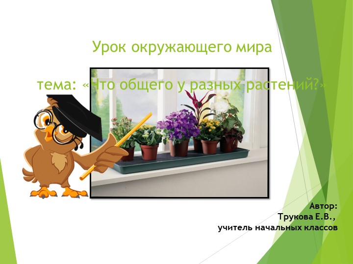 Презентация по окружающему миру:"Что растет на подоконнике?" - Скачать школьные презентации PowerPoint бесплатно | Портал бесплатных презентаций school-present.com