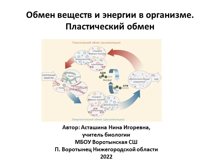 ПРезентация по биологии "Обмен веществ и энергии в организме: пластический обмен: 9 класс - Скачать школьные презентации PowerPoint бесплатно | Портал бесплатных презентаций school-present.com