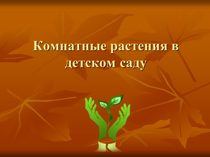 Презентация "Комнатные растения в детском саду " - Скачать школьные презентации PowerPoint бесплатно | Портал бесплатных презентаций school-present.com