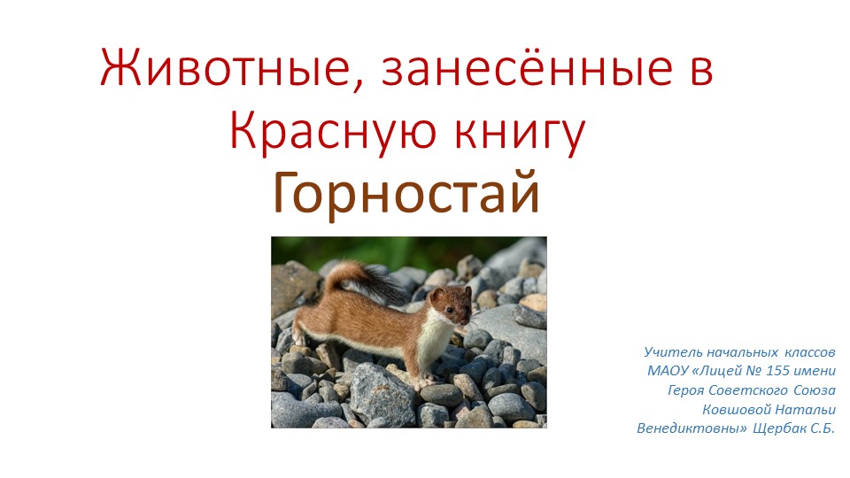 Презентация по окружающему миру на тему " Животные, занесенные в Красную книгу" - Скачать школьные презентации PowerPoint бесплатно | Портал бесплатных презентаций school-present.com