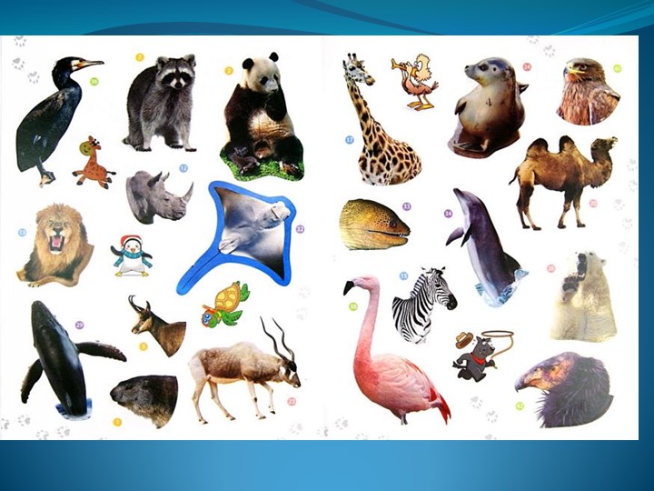 Презентация по английскому языку на тему "Animals 1" 5 класс - Скачать школьные презентации PowerPoint бесплатно | Портал бесплатных презентаций school-present.com