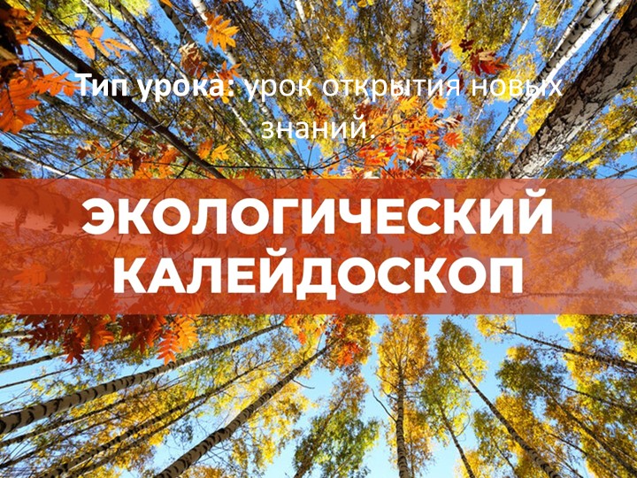 Презентация по окружающему миру "Экологический калейдоскоп", 2класс - Скачать школьные презентации PowerPoint бесплатно | Портал бесплатных презентаций school-present.com