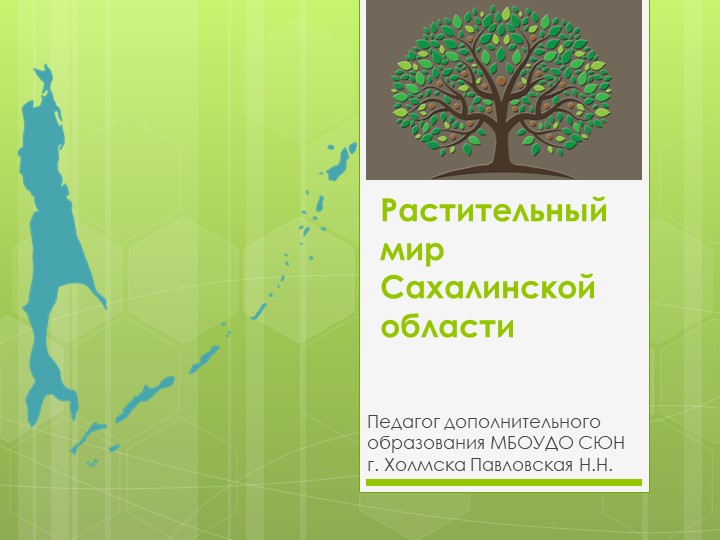 Презентация по краеведению на тему "Растительный мир Сахалинской области" - Скачать школьные презентации PowerPoint бесплатно | Портал бесплатных презентаций school-present.com