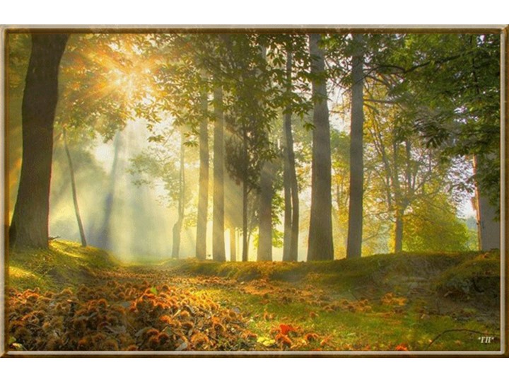 Работа с природным материалом с использованием пластилина. "Ёж." - Скачать школьные презентации PowerPoint бесплатно | Портал бесплатных презентаций school-present.com