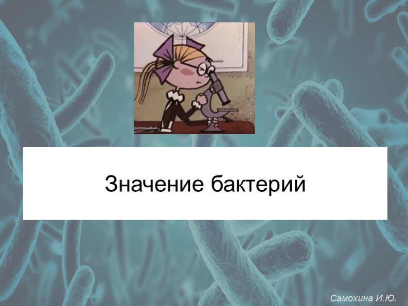 Презентация по биологии на тему "Значение бактерий" (5 класс) - Скачать школьные презентации PowerPoint бесплатно | Портал бесплатных презентаций school-present.com