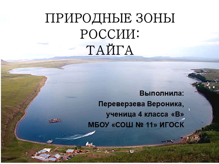 ПРИРОДНЫЕ ЗОНЫ РОССИИ: ТАЙГА - Скачать школьные презентации PowerPoint бесплатно | Портал бесплатных презентаций school-present.com
