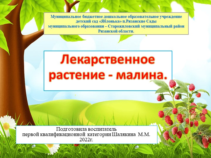 Презентация по познавательному развитию для детей дошкольного возраста "Малина" - Скачать школьные презентации PowerPoint бесплатно | Портал бесплатных презентаций school-present.com