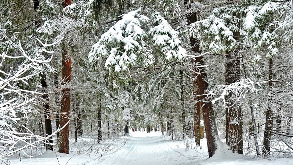 Презентация по окружающему миру на тему "Откуда берётся и куда девается мусор?" (1 урок) - Скачать школьные презентации PowerPoint бесплатно | Портал бесплатных презентаций school-present.com