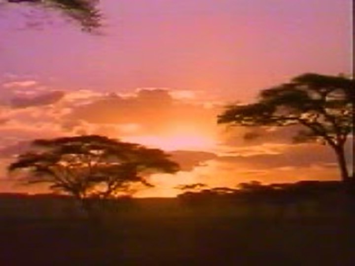 Презентация к уроку географии "Географическое положение африки" - Скачать школьные презентации PowerPoint бесплатно | Портал бесплатных презентаций school-present.com