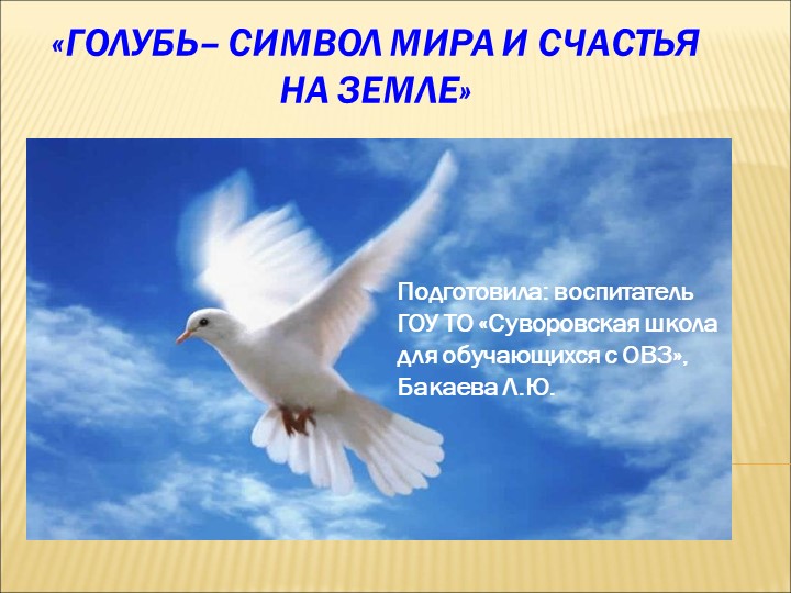 Презентация к внеклассному занятию "Голубь Мира" - Скачать школьные презентации PowerPoint бесплатно | Портал бесплатных презентаций school-present.com