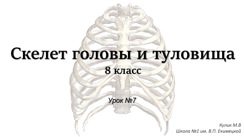 Презентация по биологии на тему "Скелет головы и туловища" (8 класс) - Скачать школьные презентации PowerPoint бесплатно | Портал бесплатных презентаций school-present.com