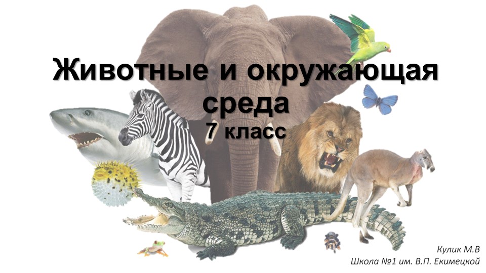 Презентация по биологии на тему "Животные и окружающая среда" (7 класс) - Скачать школьные презентации PowerPoint бесплатно | Портал бесплатных презентаций school-present.com