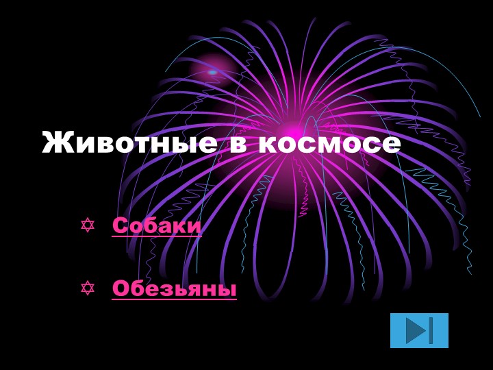 "Животные в космосе " неделя физики - Скачать школьные презентации PowerPoint бесплатно | Портал бесплатных презентаций school-present.com