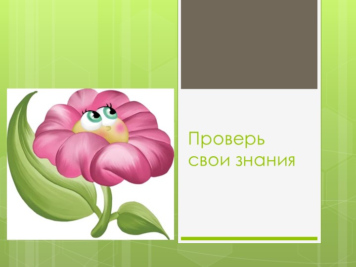 Презентация на тему: " Ты цветовод?" - Скачать школьные презентации PowerPoint бесплатно | Портал бесплатных презентаций school-present.com