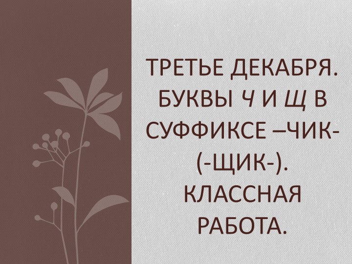 Презентация по русскому языку на тему "Буквы ч и щ в суффиксе –чик- (-щик-)". - Скачать школьные презентации PowerPoint бесплатно | Портал бесплатных презентаций school-present.com