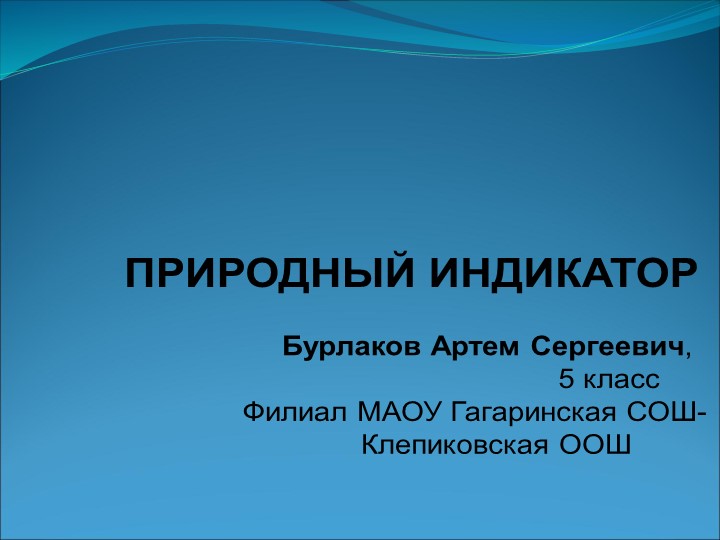 Презентация исследовательской работы Природный индикатор - Скачать школьные презентации PowerPoint бесплатно | Портал бесплатных презентаций school-present.com