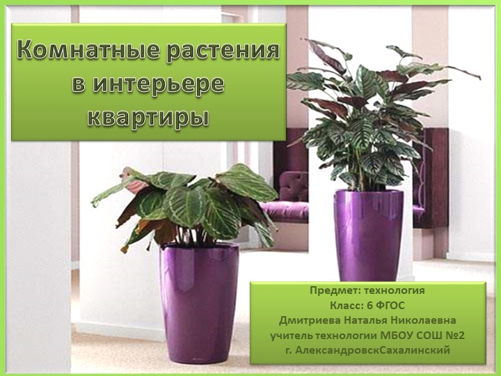 Презентация по технолонии на тему "Комнатные растения" - Скачать школьные презентации PowerPoint бесплатно | Портал бесплатных презентаций school-present.com
