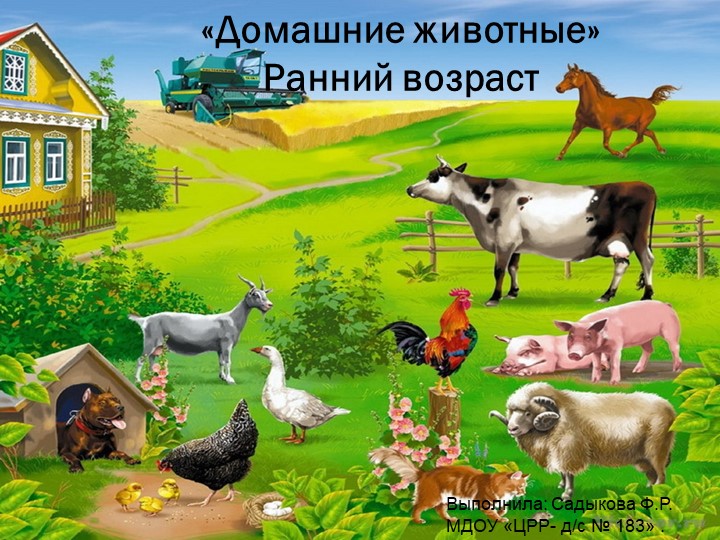 Презентация на тему " Домашние животные" - Скачать школьные презентации PowerPoint бесплатно | Портал бесплатных презентаций school-present.com