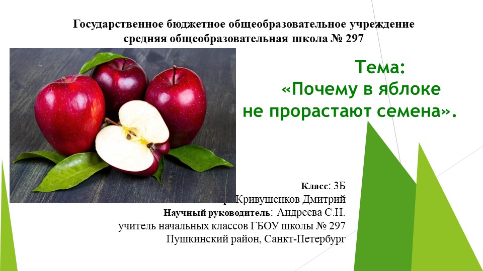 Презентация к уроку Окружающего мира на тему "Почему в яблоке не прорастают семена?" 3 класс ФГОС - Скачать школьные презентации PowerPoint бесплатно | Портал бесплатных презентаций school-present.com