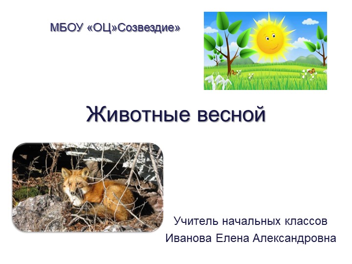 Презентация по миру природы и человека на тему "Животные весной" 4 класс - Скачать школьные презентации PowerPoint бесплатно | Портал бесплатных презентаций school-present.com