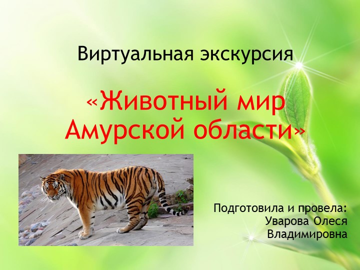 Презентация "Виртуальная экскурсия "Животный мир Амурской области" - Скачать школьные презентации PowerPoint бесплатно | Портал бесплатных презентаций school-present.com