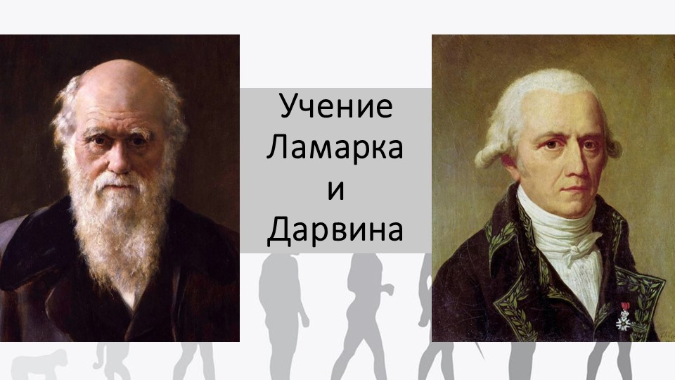 Презентация по биологии на тему "Учения Ламарка и Дарвина" (10 класс) - Скачать школьные презентации PowerPoint бесплатно | Портал бесплатных презентаций school-present.com
