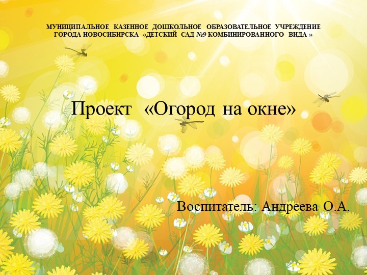 Презентация "Проект "Огород на окне" - Скачать школьные презентации PowerPoint бесплатно | Портал бесплатных презентаций school-present.com