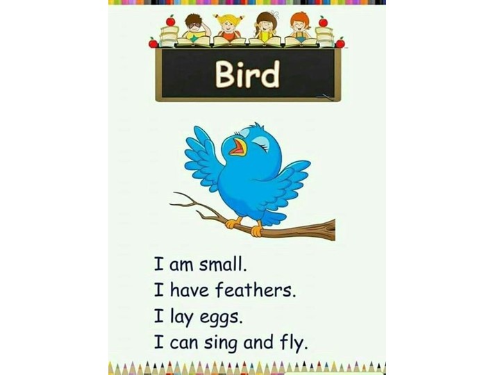 Презентация по теме " Животные" - Скачать школьные презентации PowerPoint бесплатно | Портал бесплатных презентаций school-present.com