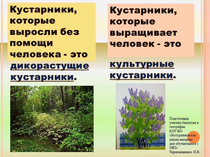 Презентация по природоведению на тему "Травы" (6 класс) - Скачать школьные презентации PowerPoint бесплатно | Портал бесплатных презентаций school-present.com
