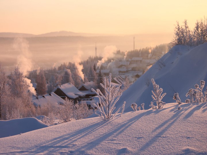 Презентация по окружающему миру на тему "Умей предупреждать болезни" - Скачать школьные презентации PowerPoint бесплатно | Портал бесплатных презентаций school-present.com