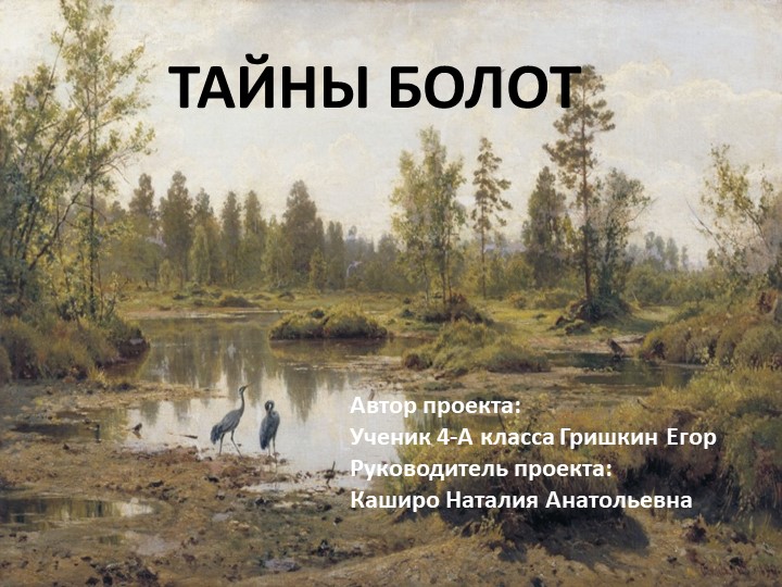 Презентация проекта "Тайны болот" - Скачать школьные презентации PowerPoint бесплатно | Портал бесплатных презентаций school-present.com