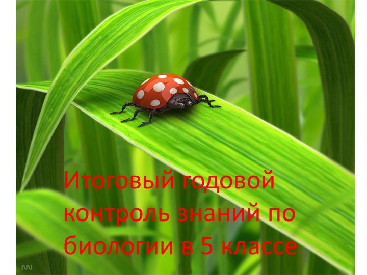 Презентация "Итоговая контрольная работа в 5 классе" - Скачать школьные презентации PowerPoint бесплатно | Портал бесплатных презентаций school-present.com