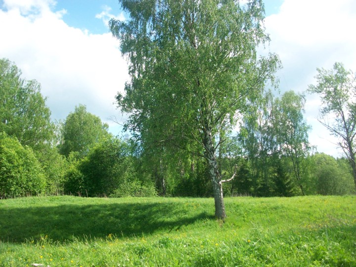 Презентация проекта "Есть место в глубинке России" - Скачать школьные презентации PowerPoint бесплатно | Портал бесплатных презентаций school-present.com