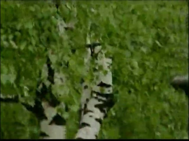 Презентация Вечер есенинской поэзии - Скачать школьные презентации PowerPoint бесплатно | Портал бесплатных презентаций school-present.com