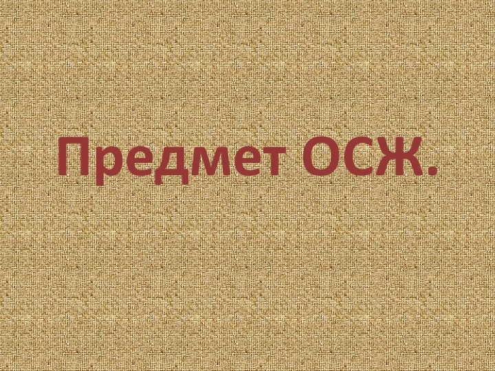Презентация по ОСЖ на тему "Предмет ОСЖ" - Скачать школьные презентации PowerPoint бесплатно | Портал бесплатных презентаций school-present.com