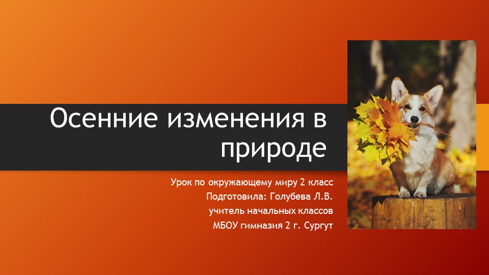 Презентация для урока по окружающему миру "Осенние изменения в природе" - Скачать школьные презентации PowerPoint бесплатно | Портал бесплатных презентаций school-present.com