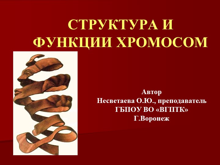 Презентация по биологии на тему "Структура и функции хромосом" - Скачать школьные презентации PowerPoint бесплатно | Портал бесплатных презентаций school-present.com