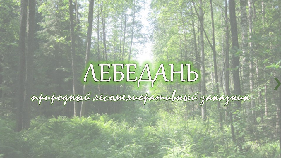 "Презентация к уроку ИКН (Республика Марий Эл) "Озеро Лебедань"" - Скачать школьные презентации PowerPoint бесплатно | Портал бесплатных презентаций school-present.com