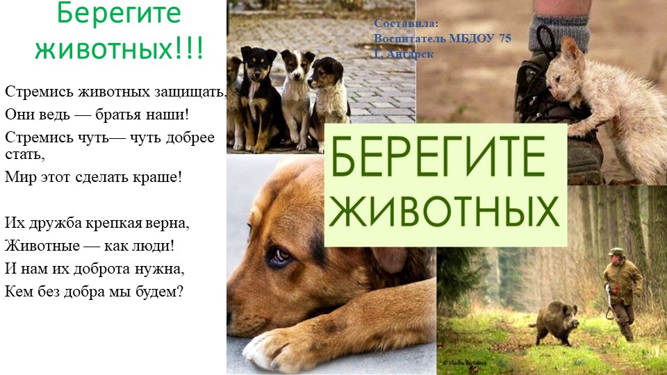 Презентация окружающий мир "Берегите животных" - Скачать школьные презентации PowerPoint бесплатно | Портал бесплатных презентаций school-present.com