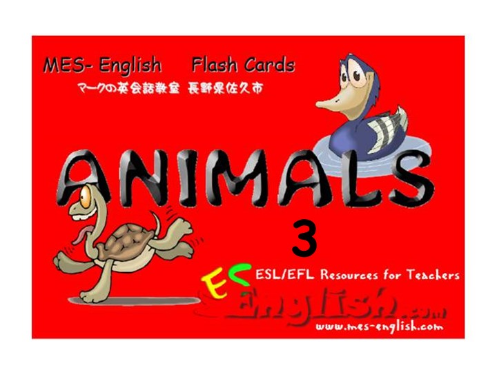 Презентация по английскому языку "Животные". - Скачать школьные презентации PowerPoint бесплатно | Портал бесплатных презентаций school-present.com