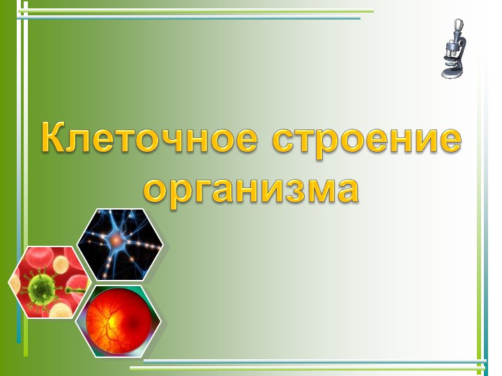 Презентация на тему "Клеточное строение" - Скачать школьные презентации PowerPoint бесплатно | Портал бесплатных презентаций school-present.com
