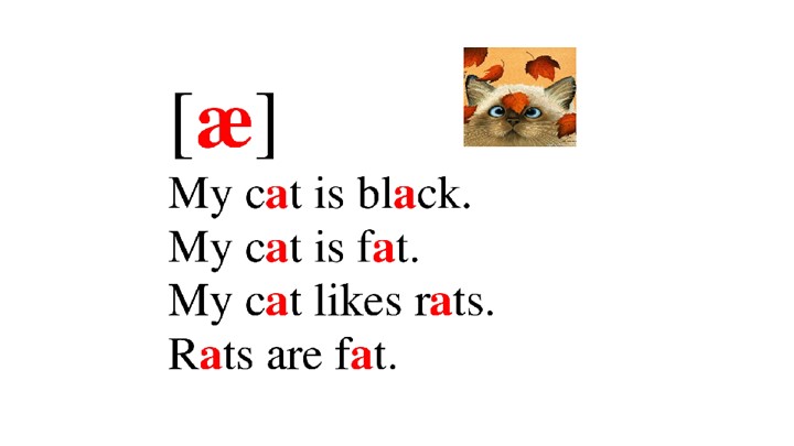 Презентация "Parts of the body" 5 класс - Скачать школьные презентации PowerPoint бесплатно | Портал бесплатных презентаций school-present.com